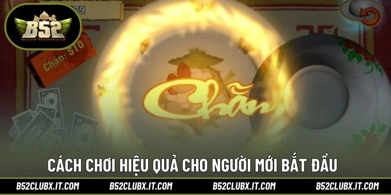 Cách chơi hiệu quả cho người mới bắt đầu